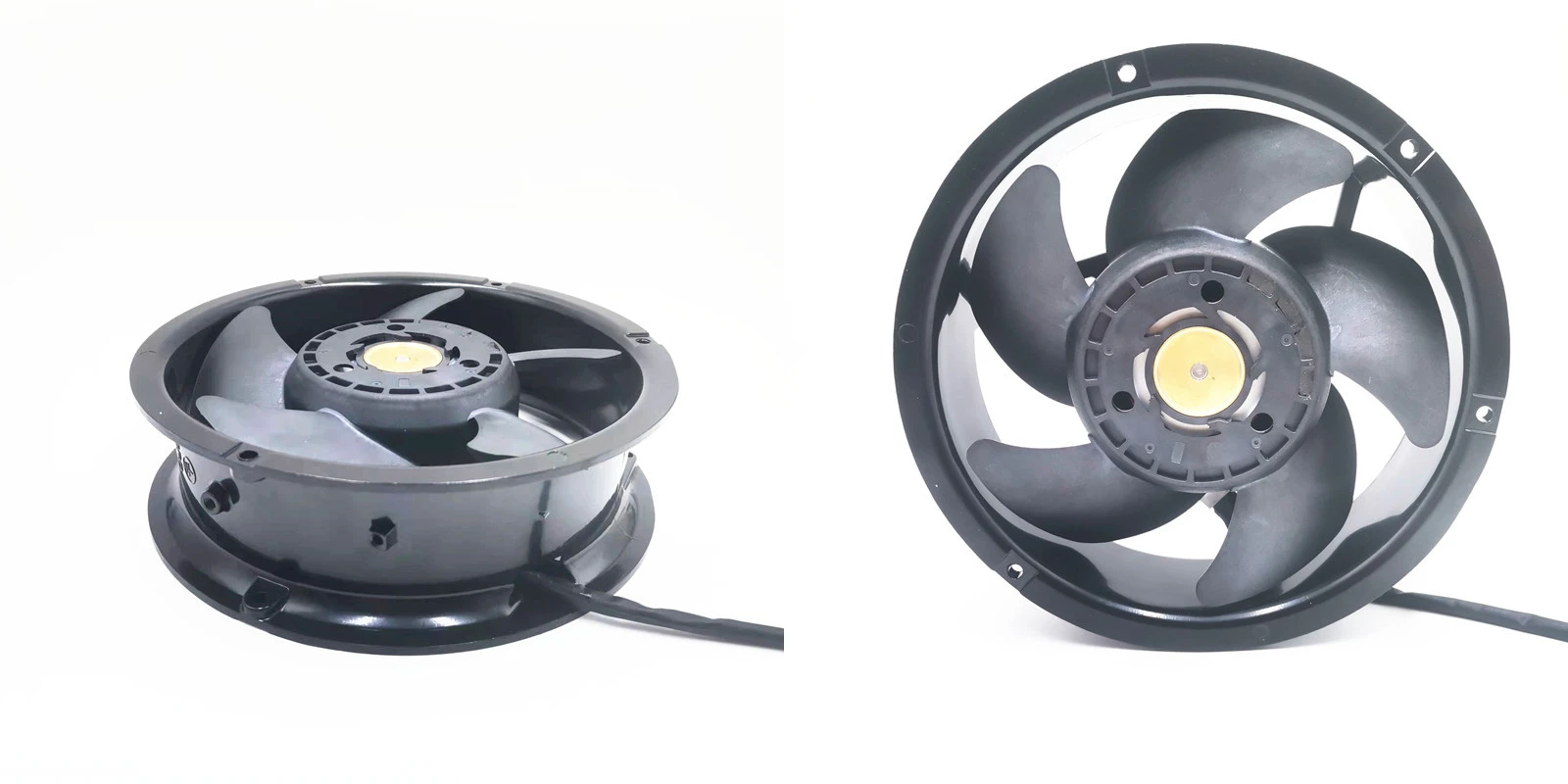 product-1600-800 product-1600-800